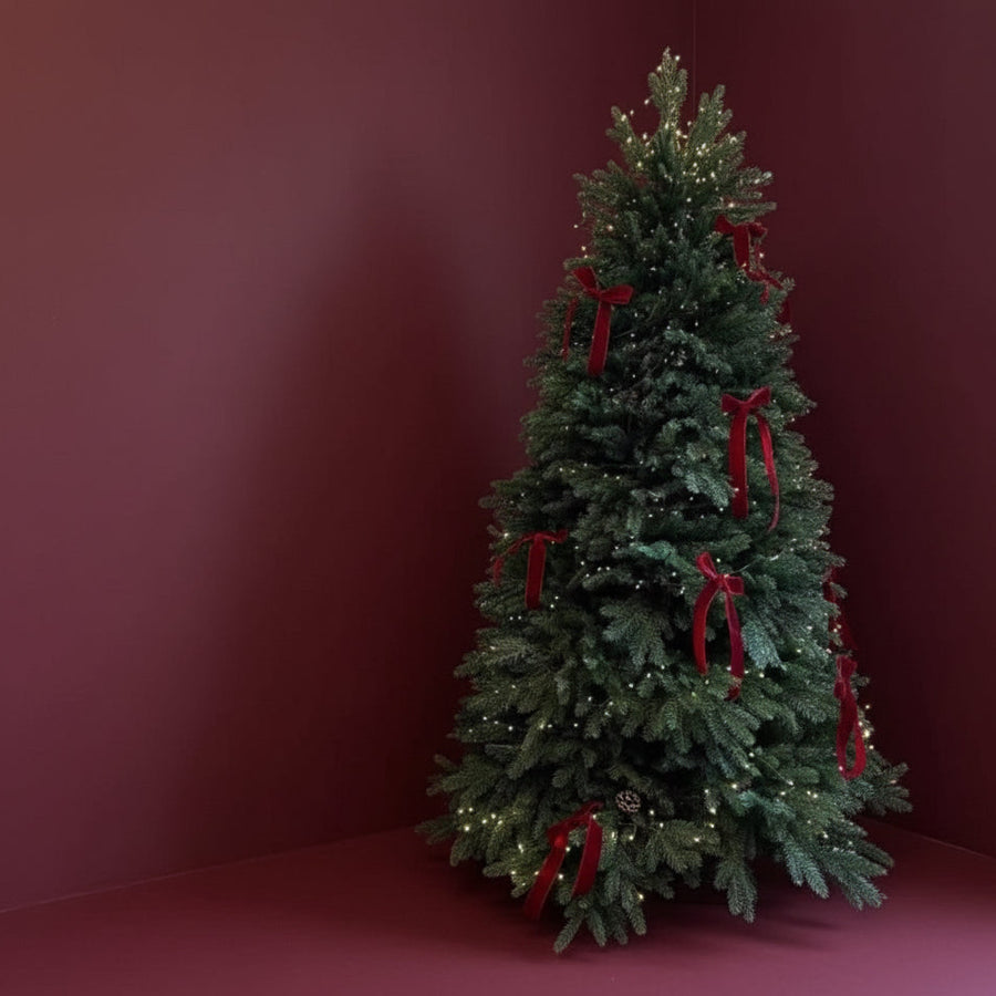 Red Velvet Christmas Bows - Set of 12