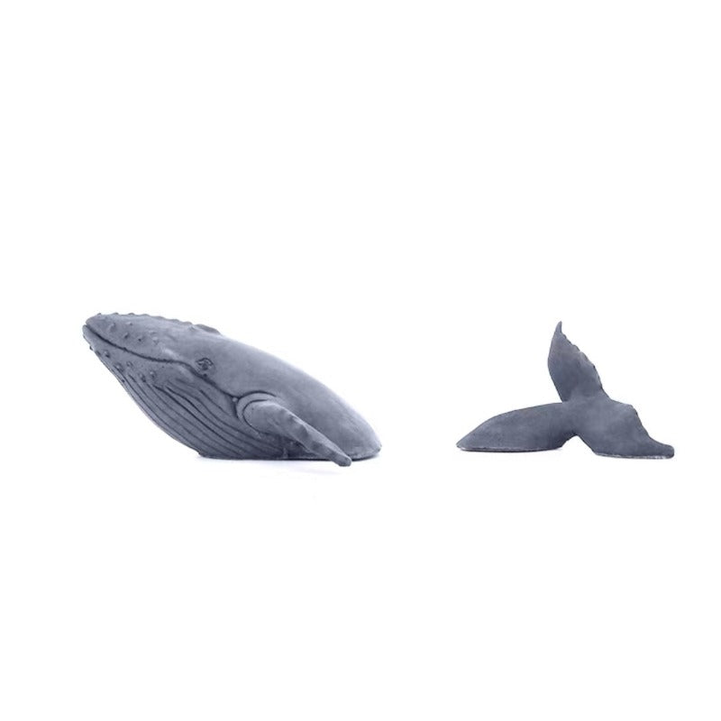 The Whale - Cement